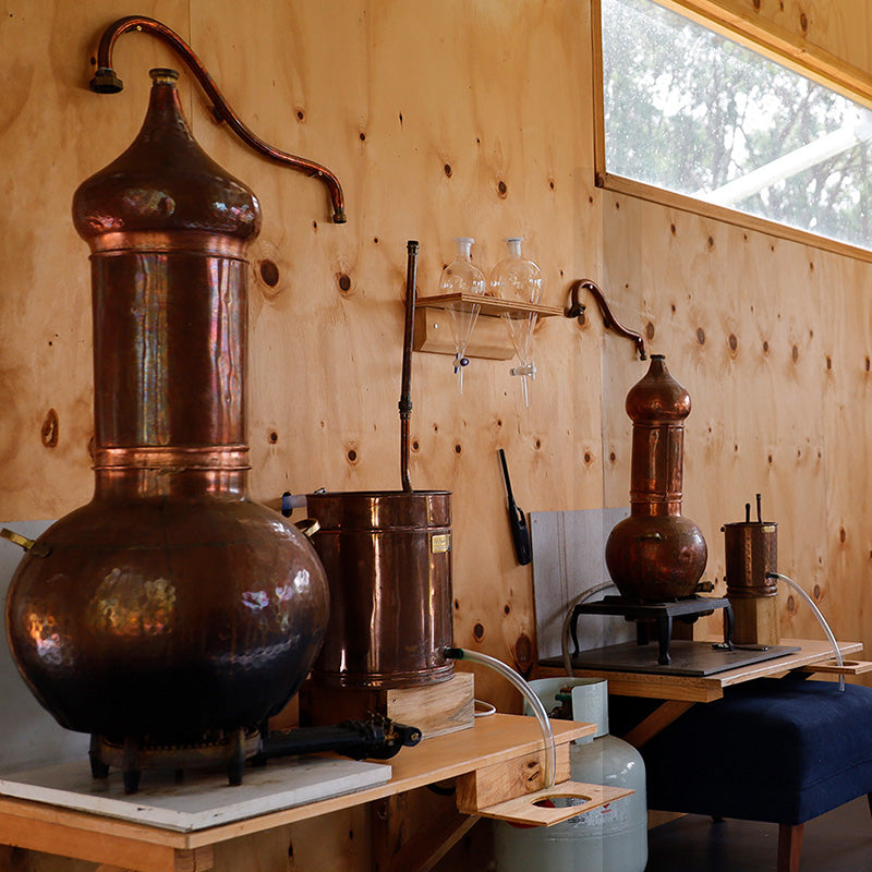 AN INTERVIEW WITH BRIDGET NICHOLSON FROM GRANITE BAR ROSEMARY ARTISAN FARM & ESSENTIAL OIL DISTILLERY