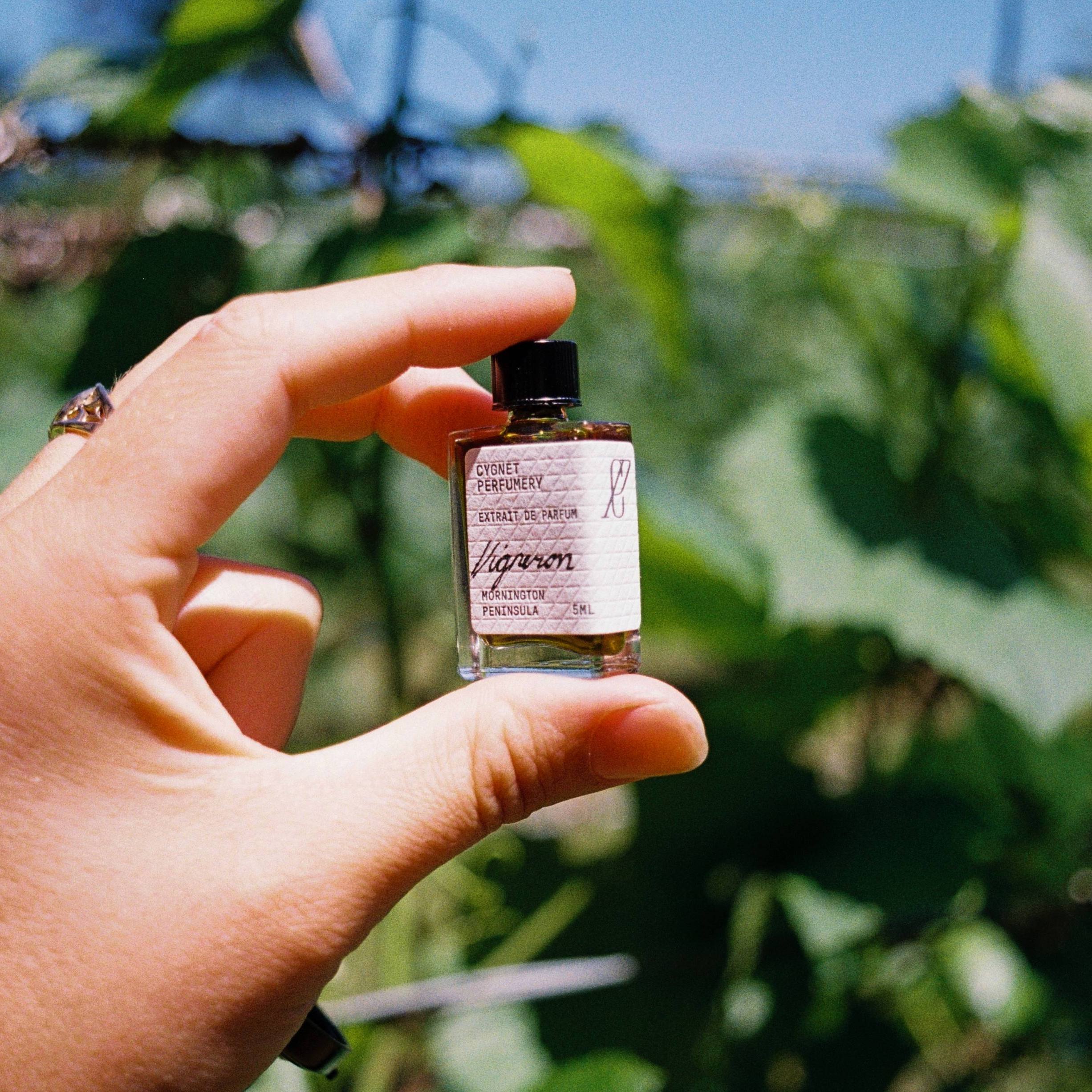 Cygnet Perfumery's Guide to the Mornington Peninsula: A Sensory Journey
